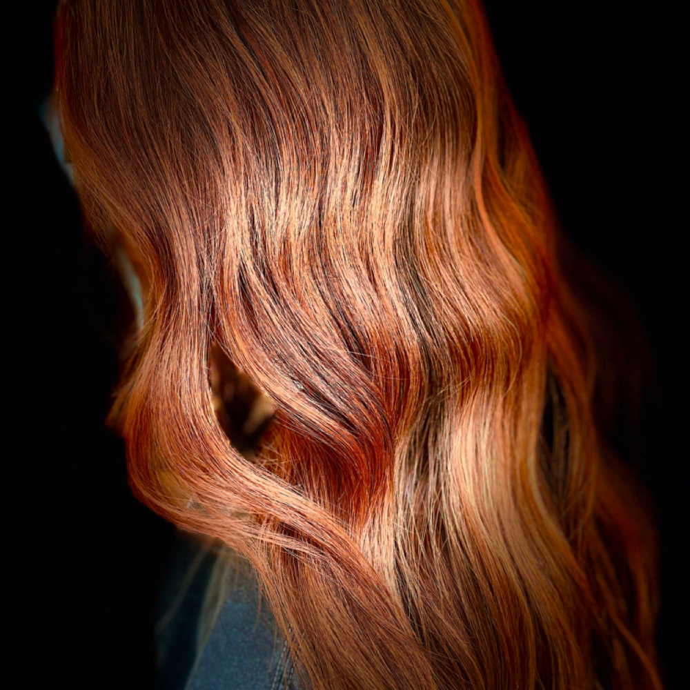 Full Color at The Hair Room in Fort Collins, CO