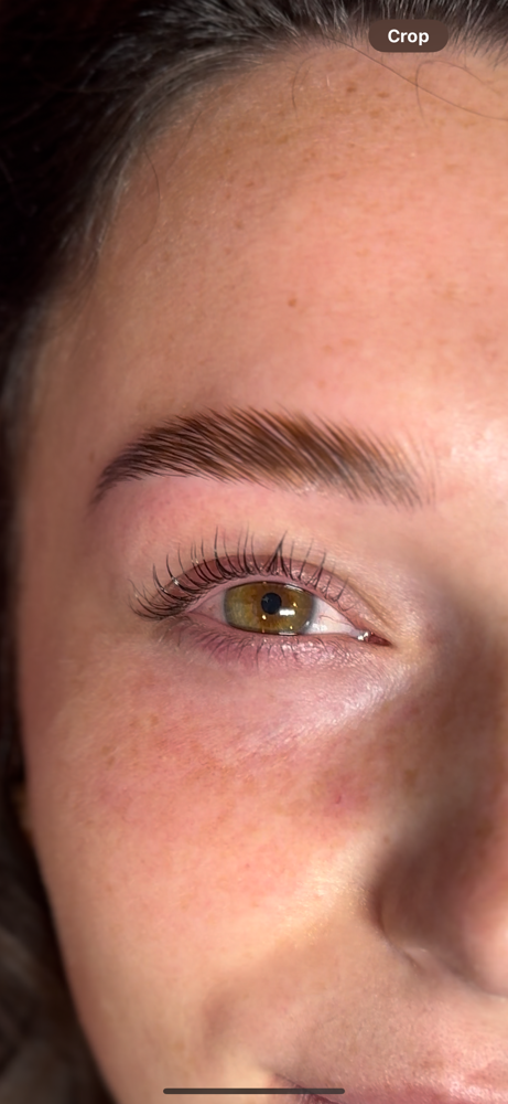 Brow Wax, Tint, & Lamination