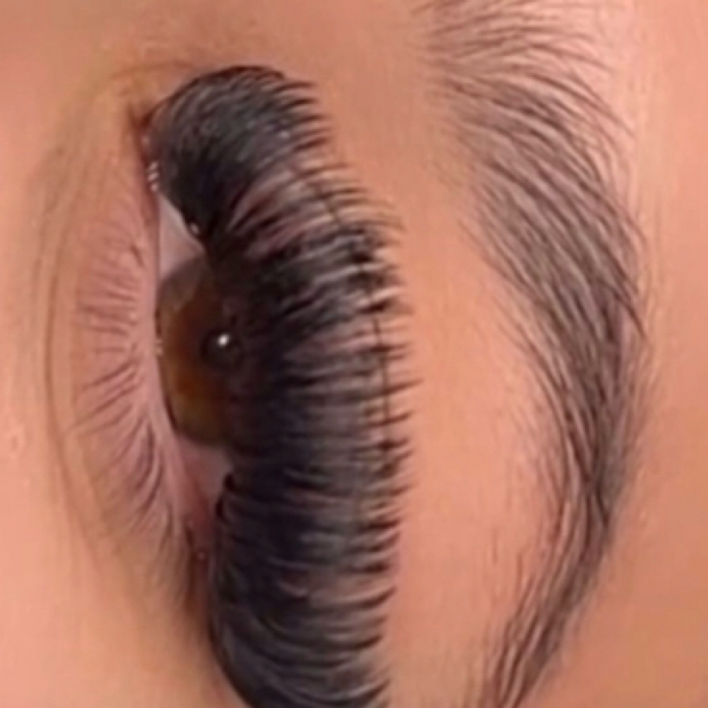 Three Week Volume Fill $95 at Angels Lashes in Broomfield, CO