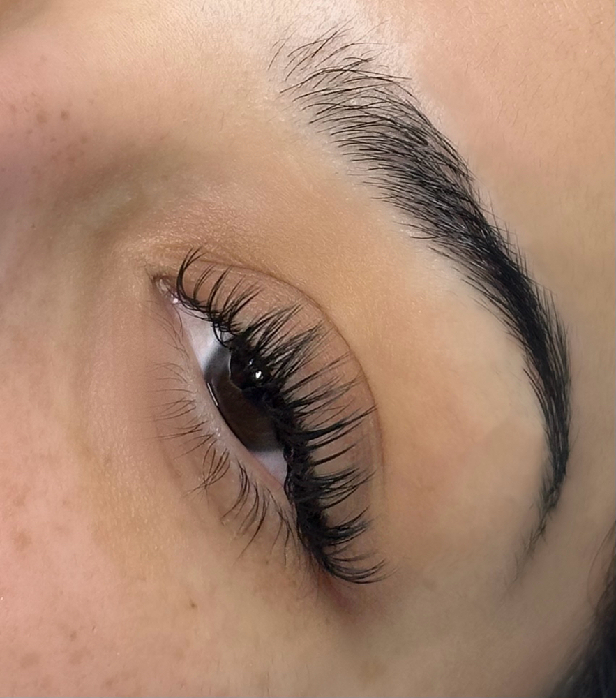 Classic Deluxe fill 2-3 week