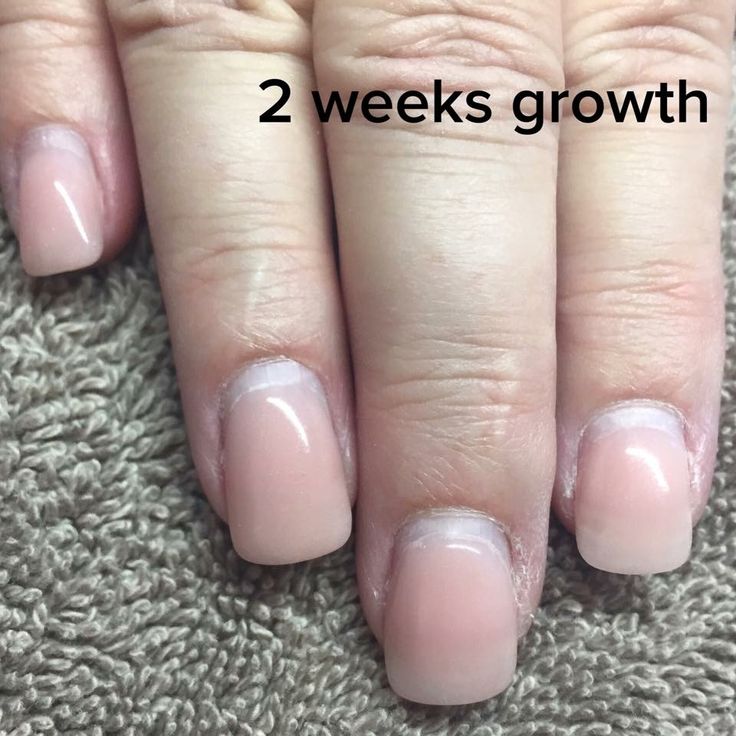 2-3 week Gel or Acrylic Fill