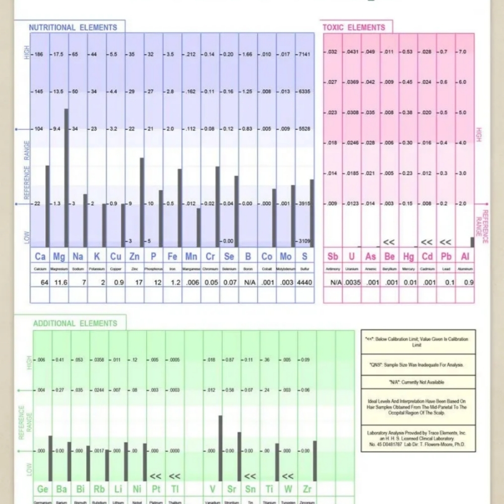 HTMA Test & Analysis at Thrive Hive Holistic in McKinney, TX