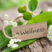 90 Minute Massage