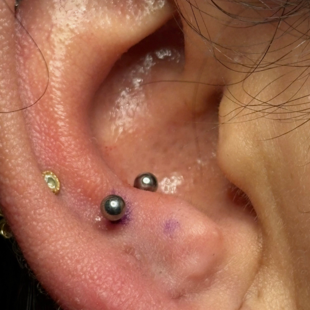 Snug Piercing at PunkturedByKal in Arlington, TX
