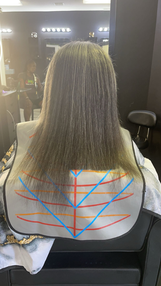 HEALTHY HAIR (Press Treatment Trim)