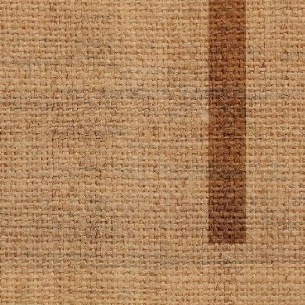 Extension Consult at Halo Hair Studio in Walla Walla, WA