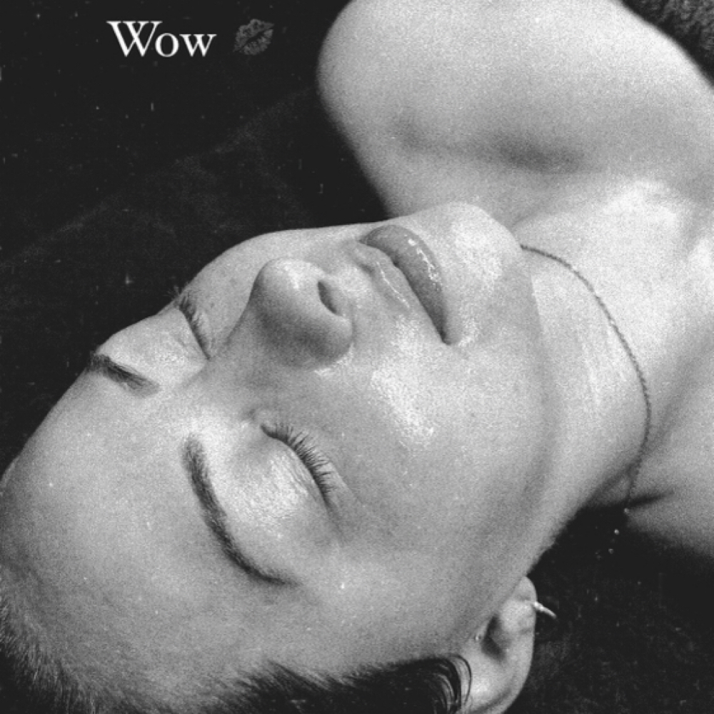 Sculpted Lymphatic Facial at THE AESTHETIC LABS in Taylor, MI