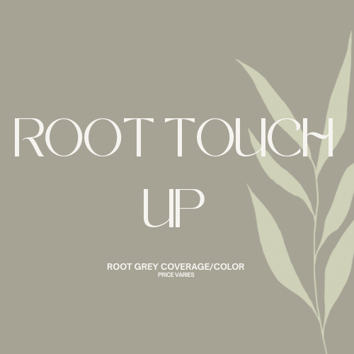 Root Touch Up