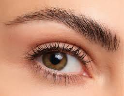 Eyebrow Wax