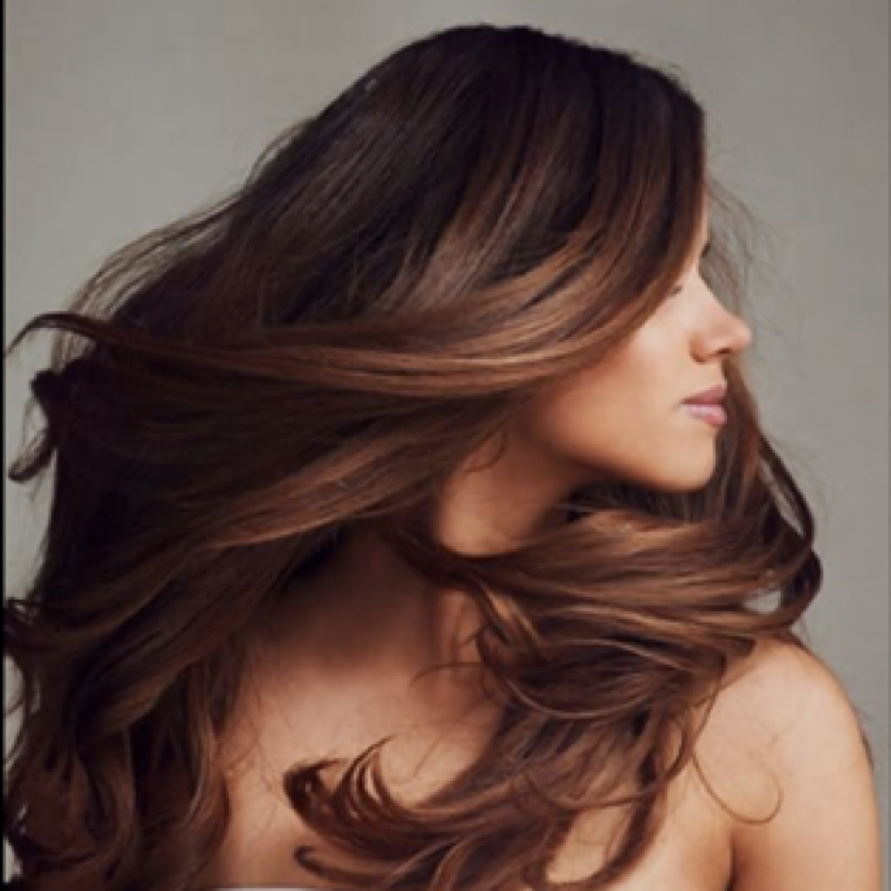 Gloss/Toner Refresh at Blond Haus X in Rocklin, CA