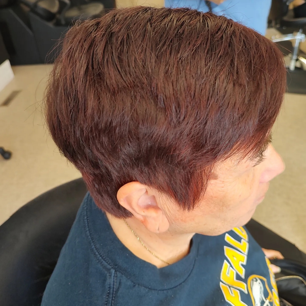 Root Retouch Color