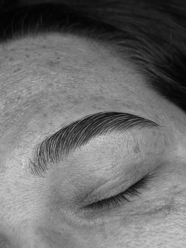 Brow Lamination, Wax & Tint