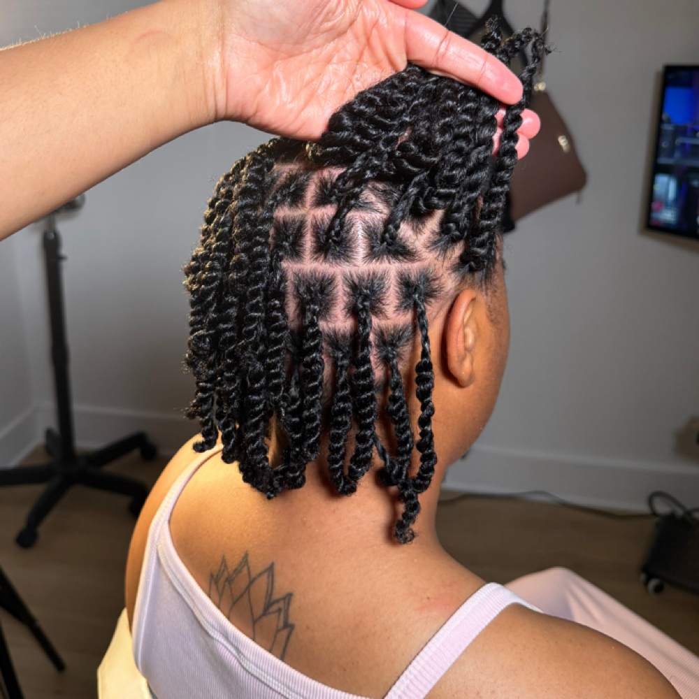 Twists & Plaits at Intrinsting Styles in Addison, TX