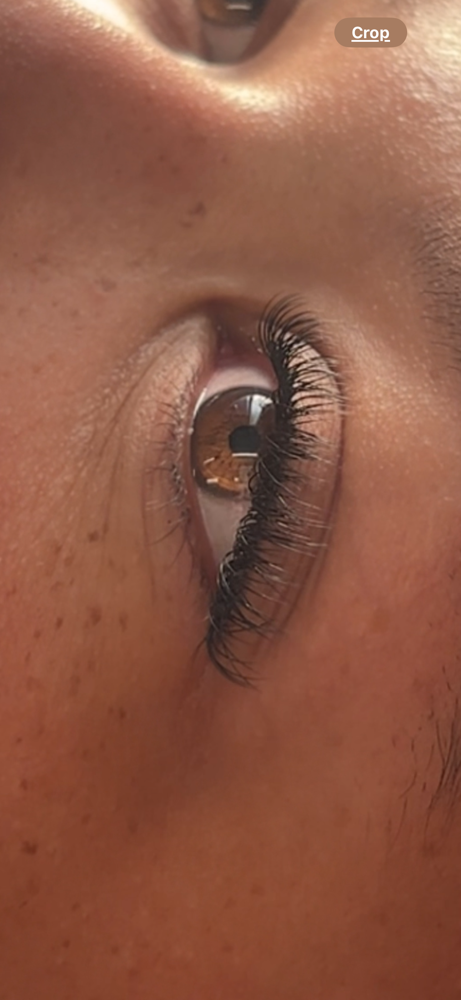 Lash Extensions: Classic Fill