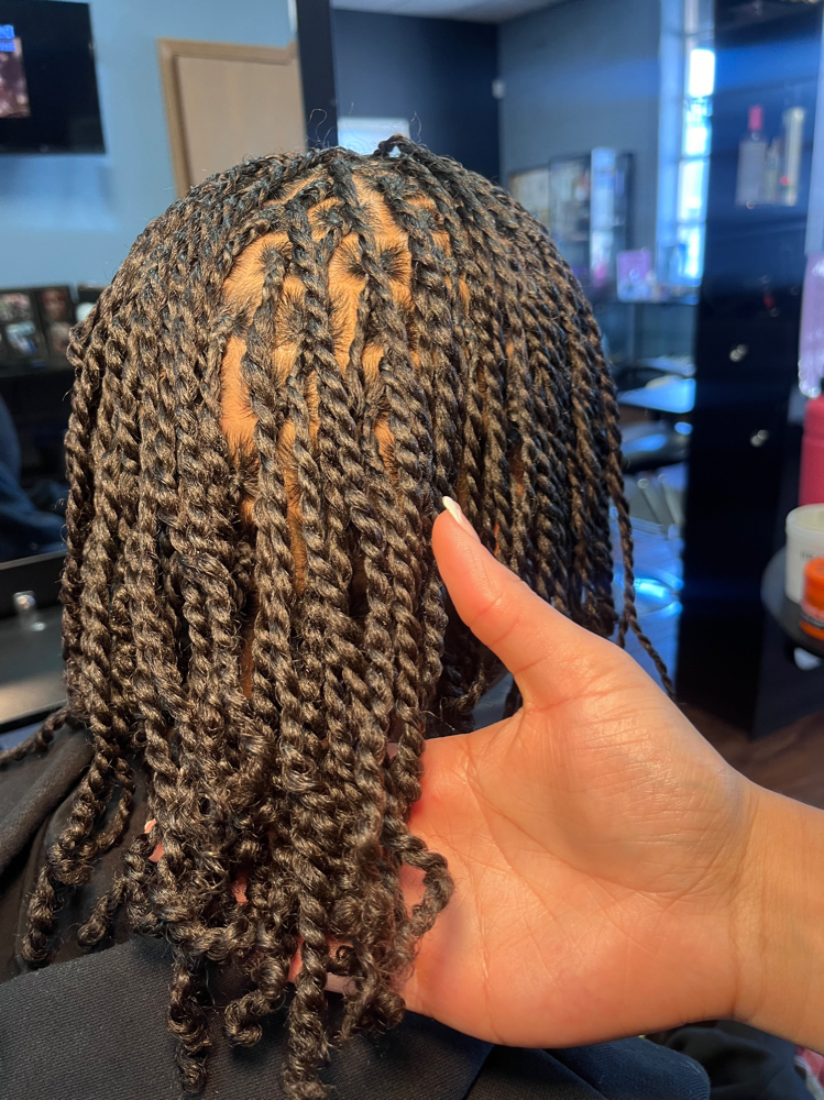 Mini Twist