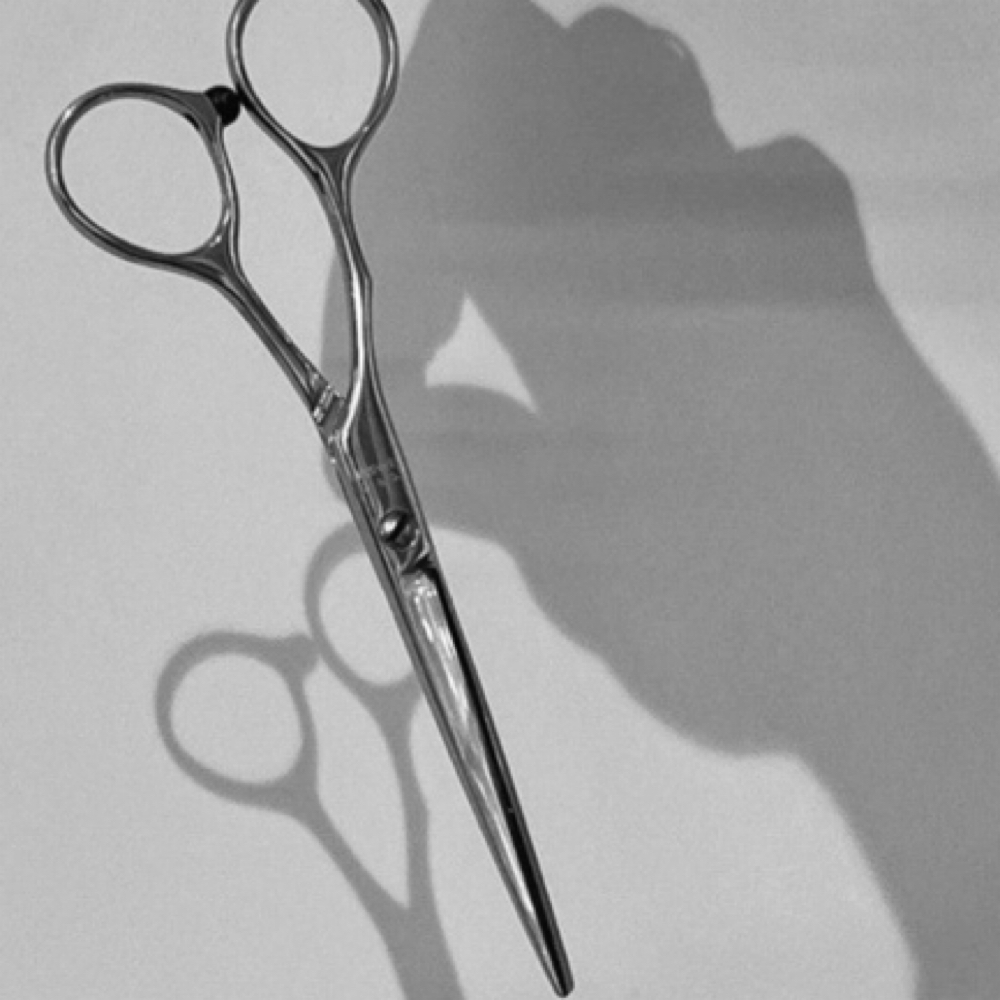 Dry Haircut (Womens) at Alaura Karis Hair in Madisonville, KY
