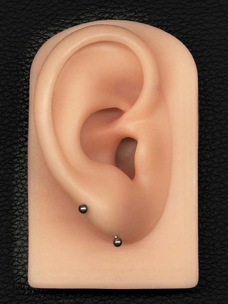 Transverse Lobe at Anthem Piercing & Tattoo in North Salt Lake, UT