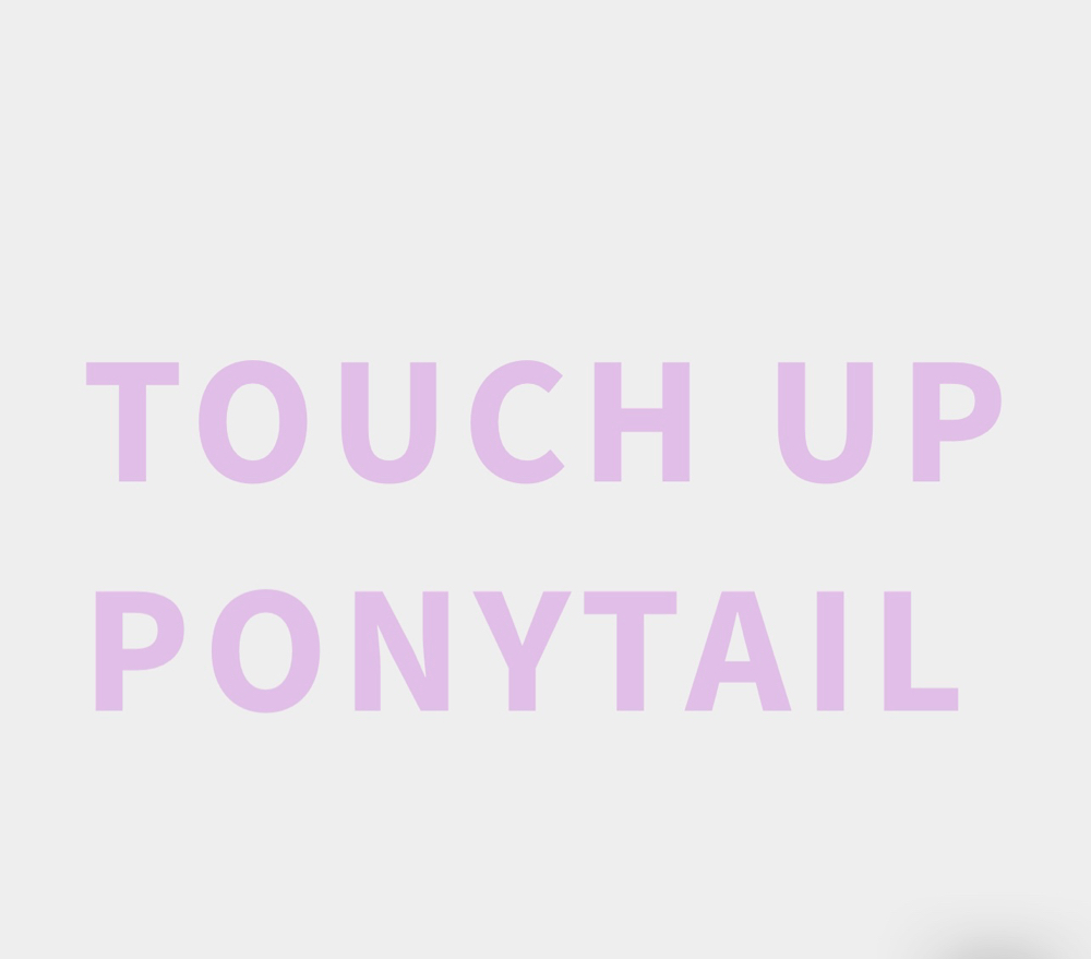 Touch Up Ponytail