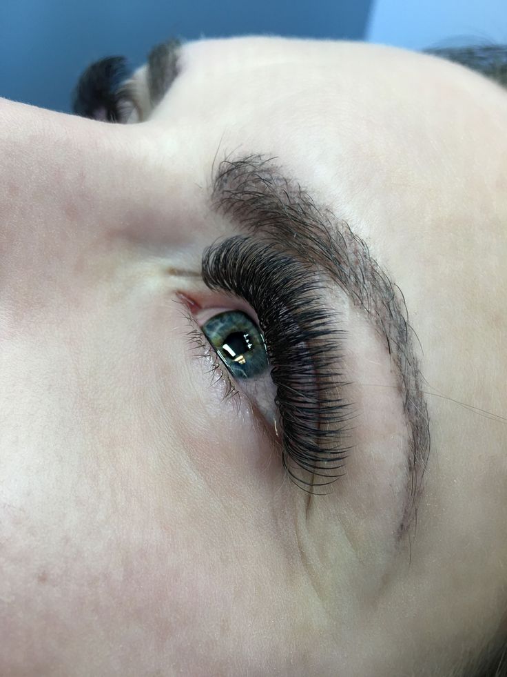Volume Lash Extention