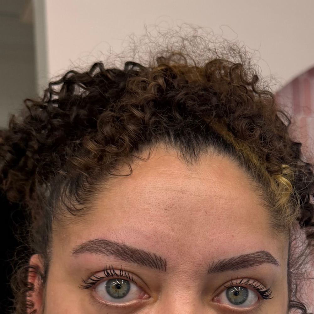 Signature Combination Brow at The Brow and Ink Atelier in Draper, UT