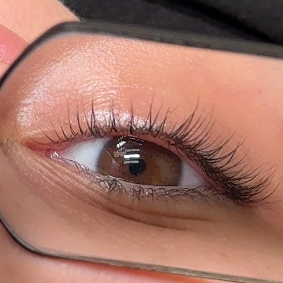 Lash Lift + Tint at BeautyBySalena in Dearborn, MI