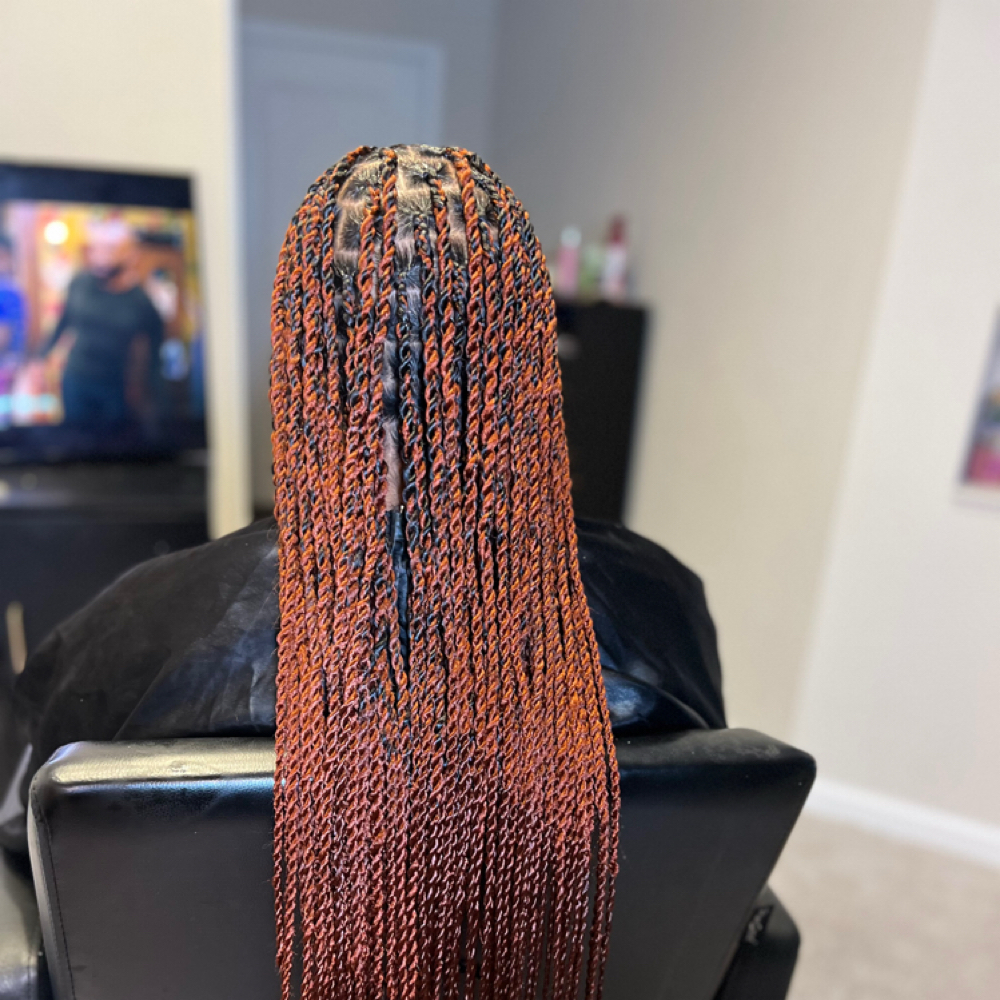 Knotless Twist at Braider Queen in Laurel, MD