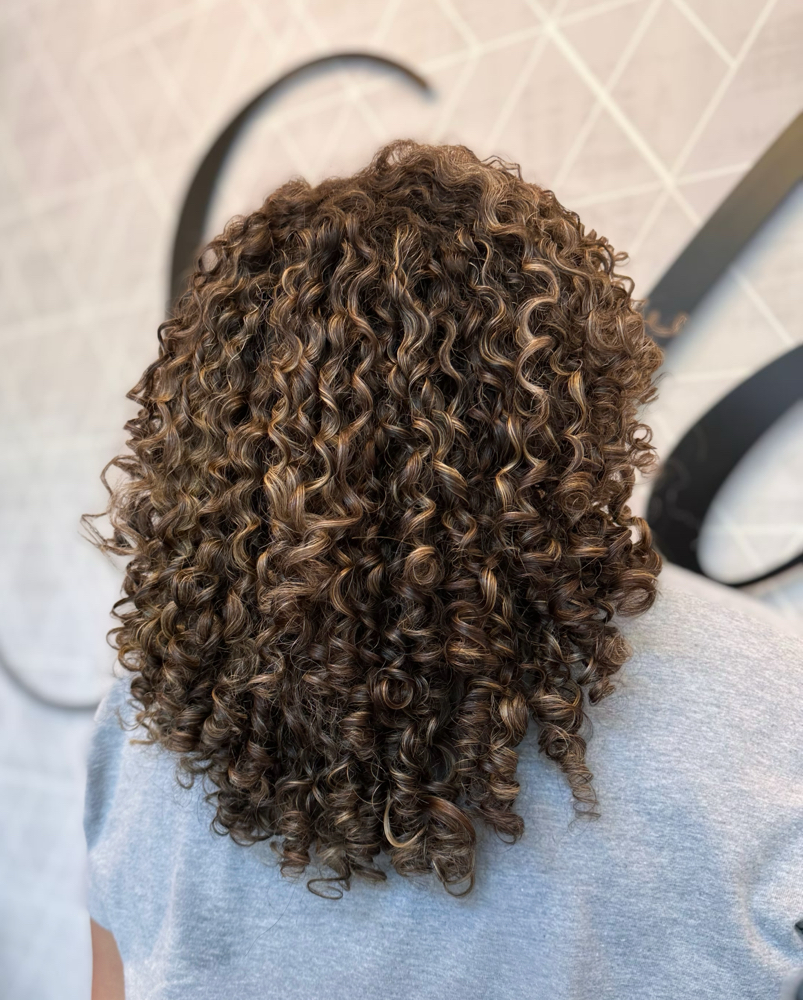 Curly Specialist Cut at She Creates Hair, LLC in Loveland, CO