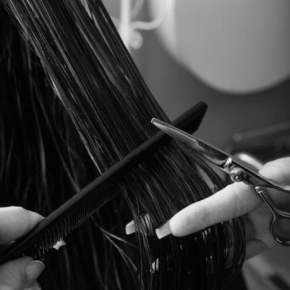 HAIRCUT, WASH & STYLE at danitooglam in san antonio, TX