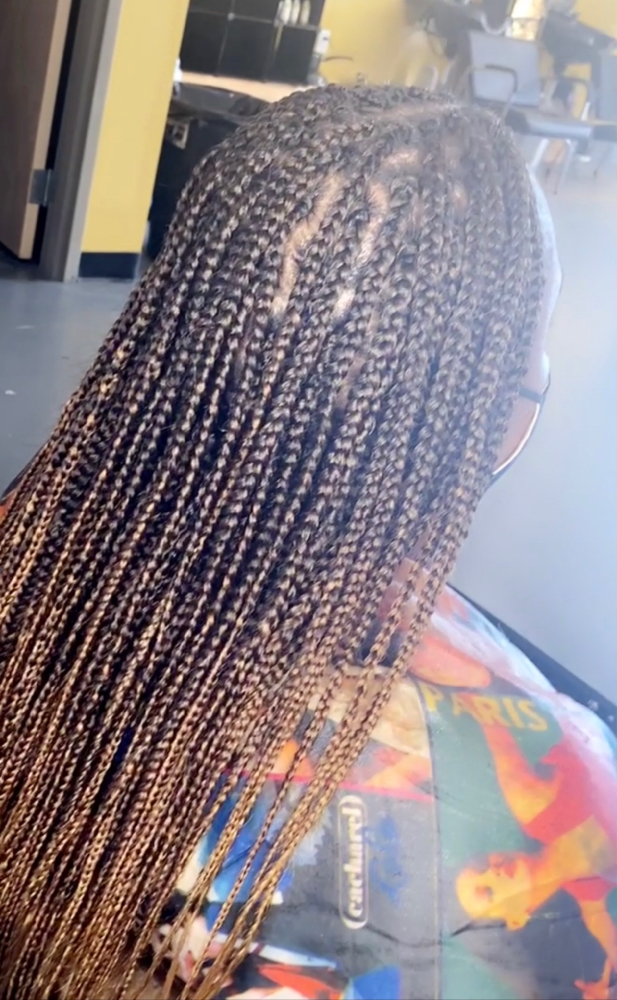 Box Braids (large/medium)