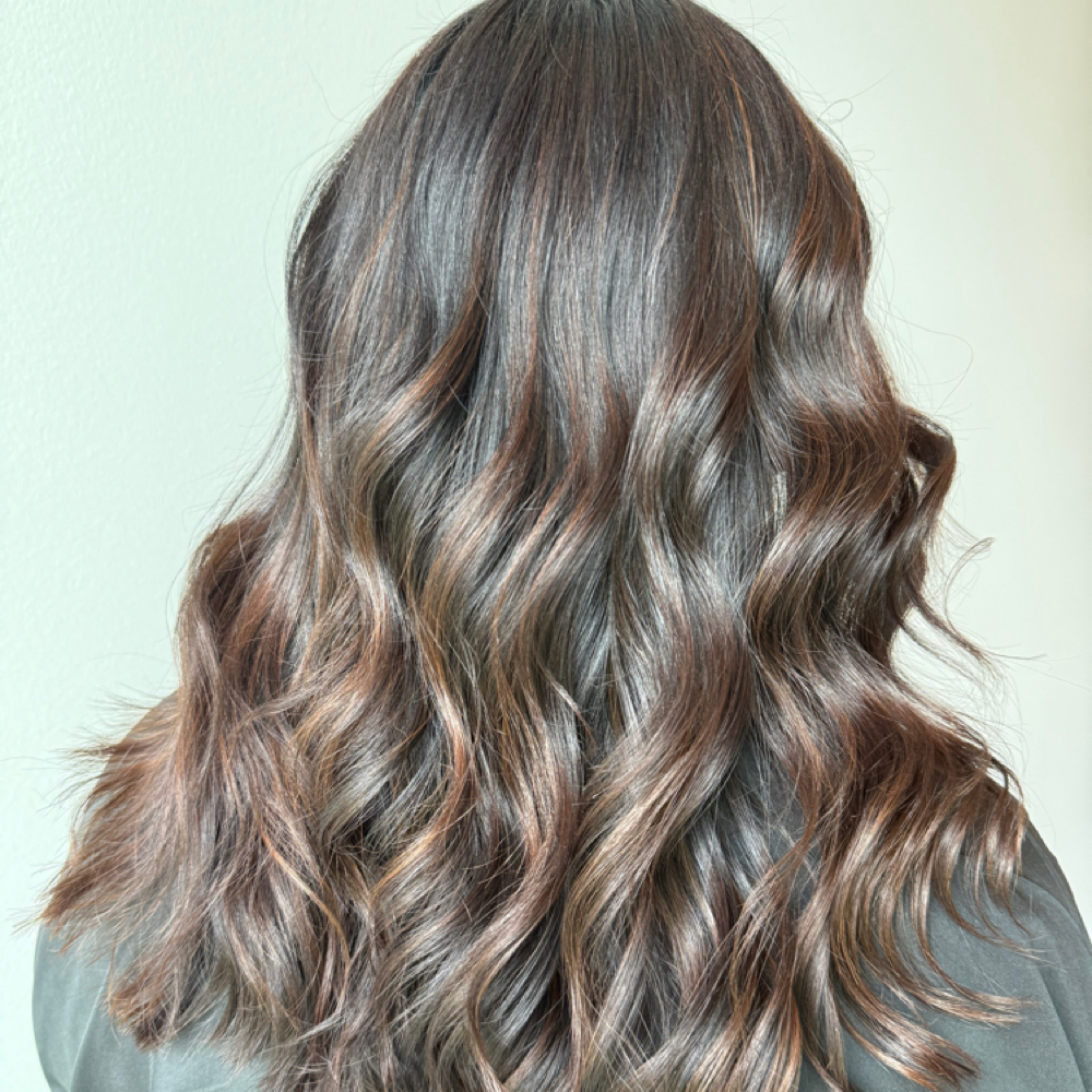 Custom Brunette Package at Fierce Salon & Co. in Lewisville, TX