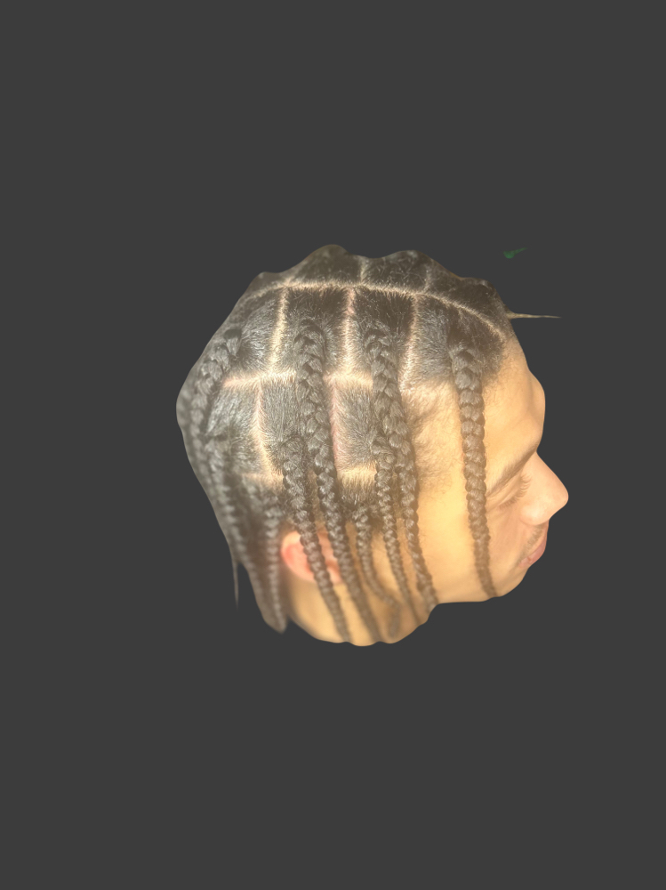 Larg Natural Box Braids