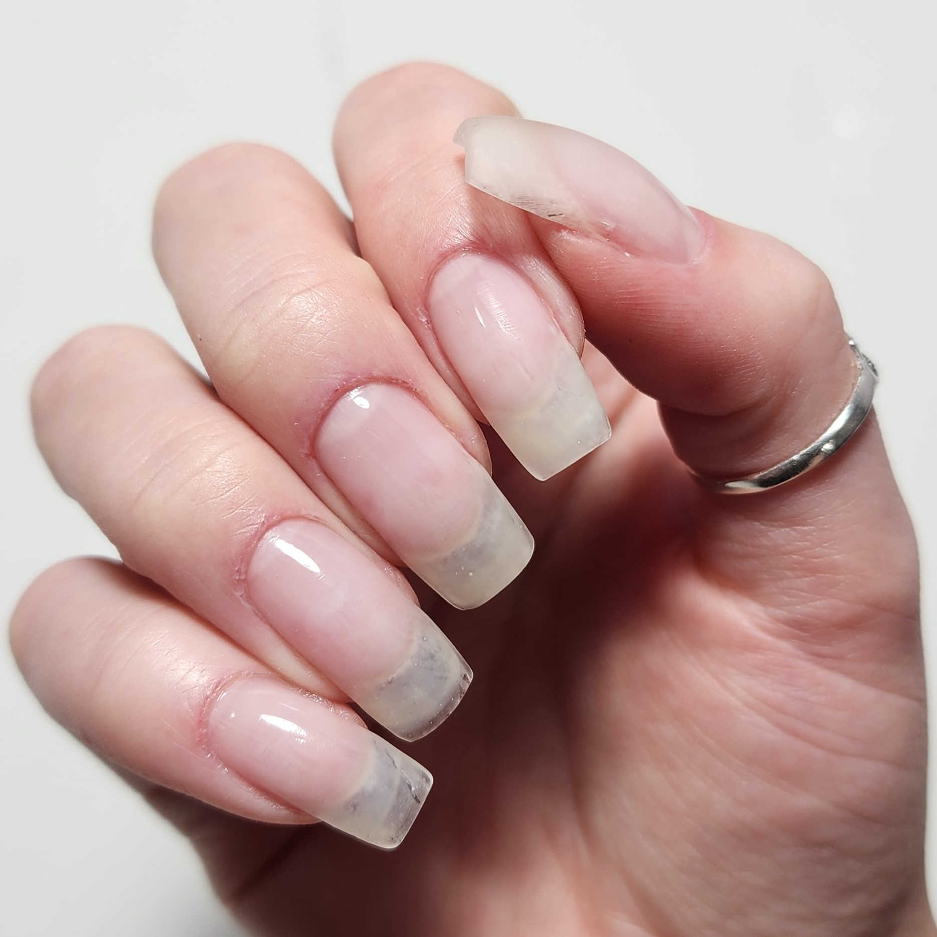 Structured Gel - Solid Color at Corpse Claws Nail Art Studio in Longmont, CO