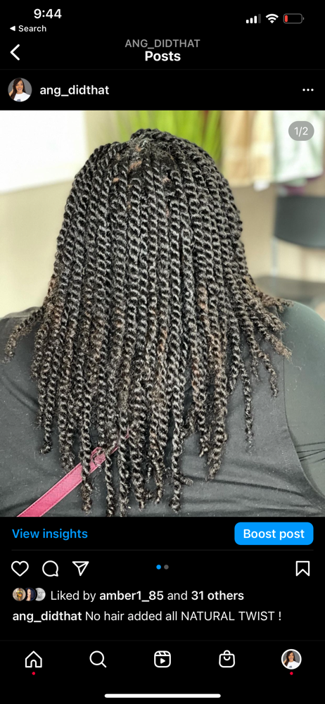 Natural Twist Half French Braids
