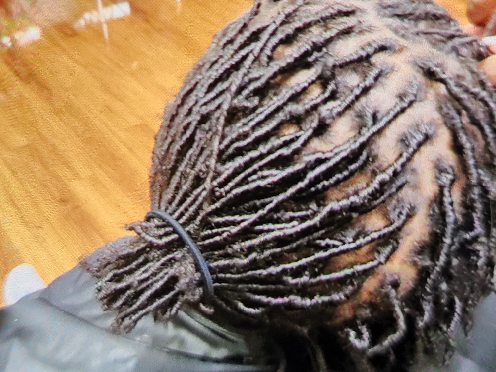 Full Head Starter Loc