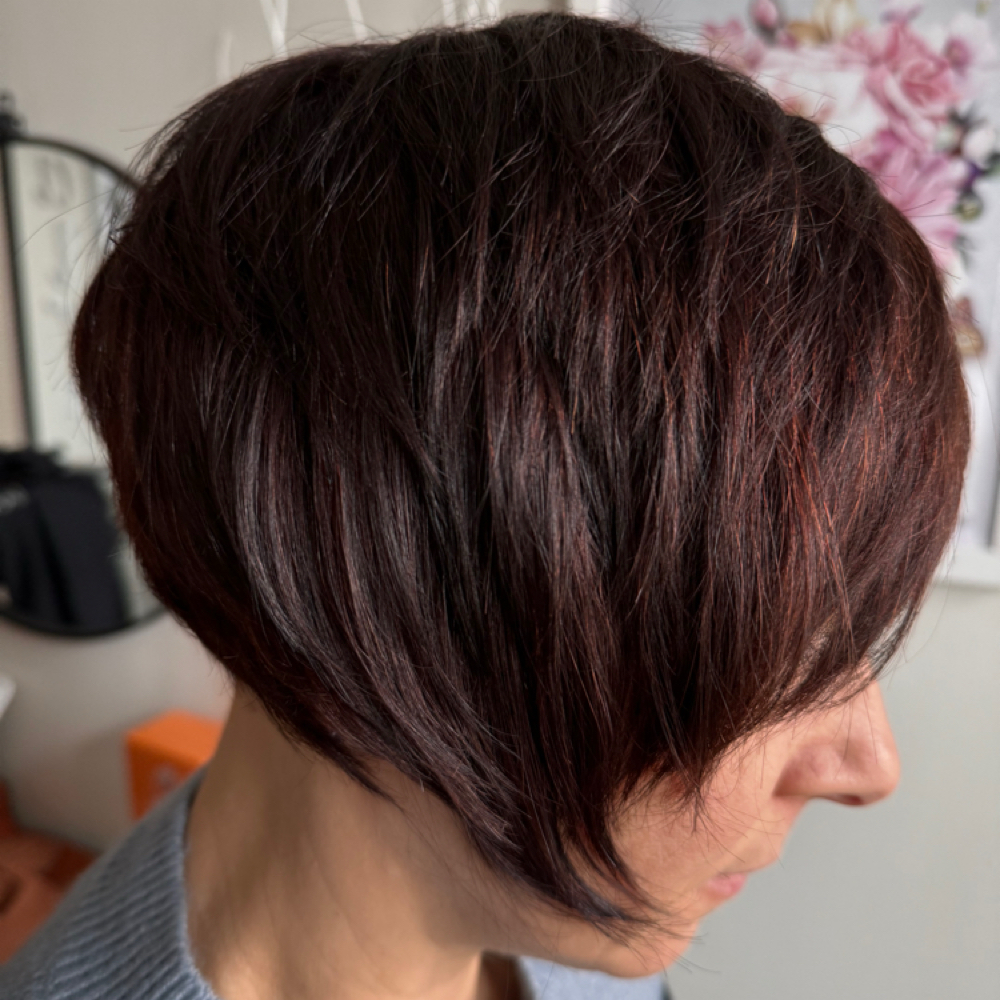 Style With Blow Dry at Gosia’s Studio in Shelby Twp, MI