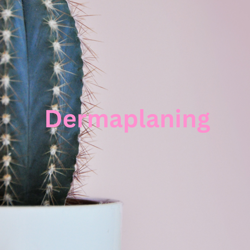 Dermaplaning Treatment -Stand Alone