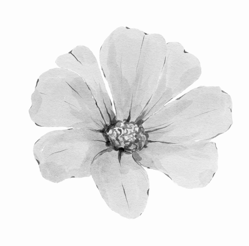 *Already Lasered* Brazilian