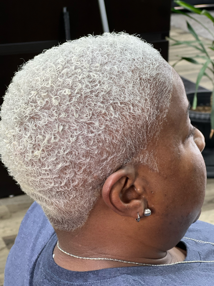 Brush Cut Platinum Color