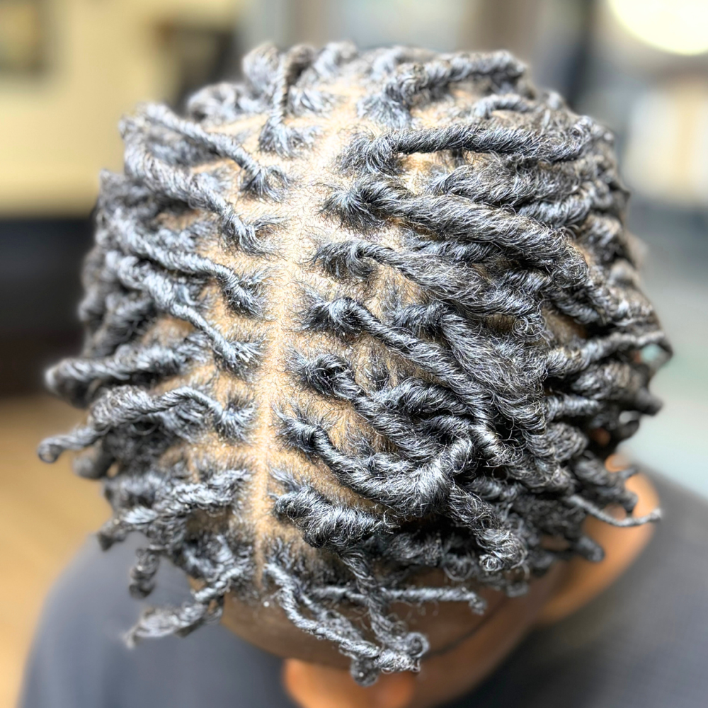 Starter Locs