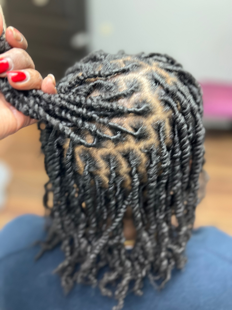 Two Strand Starter Locs