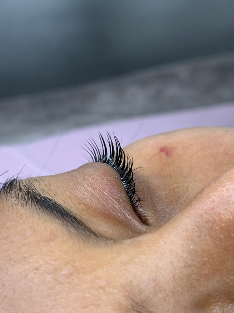 lash lift + tint
