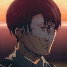 The Levi  (Two Strand Starter Locs)
