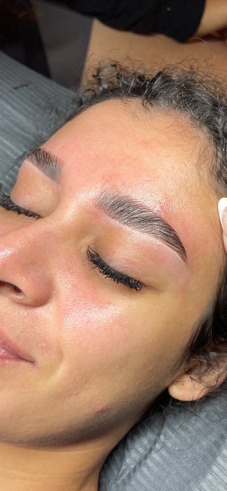Brow Lamination, Wax, & Tint