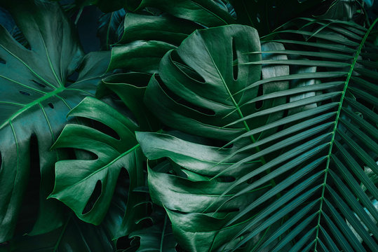 $30 New Client Brazilian Promo