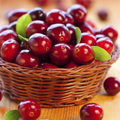 Circadia Summer Refresher Facial