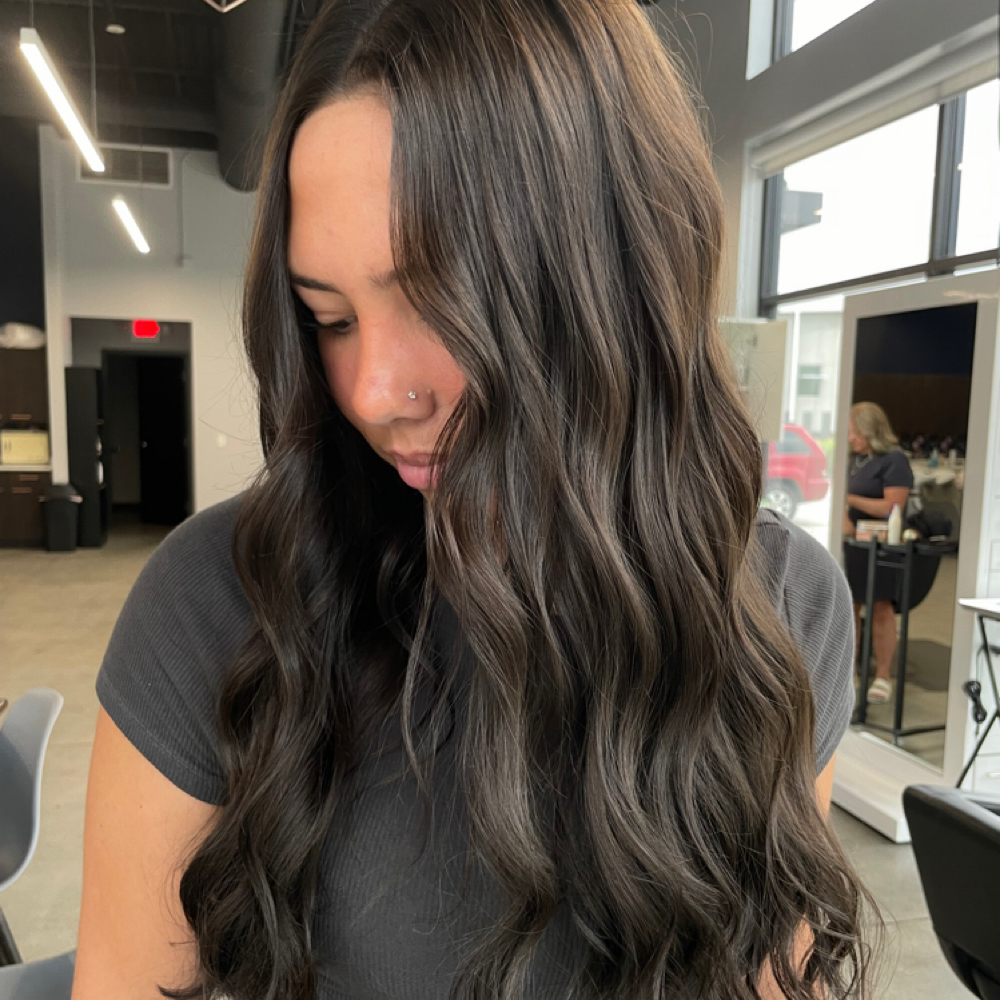 All Over Color at Sophia  Herman in Saint Petersburg, FL