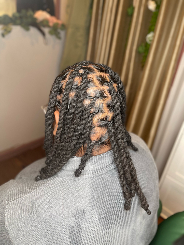 Two Strand Twist Mid Back