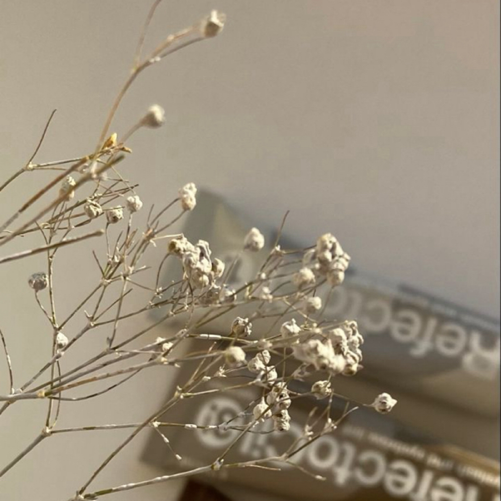 Signature Brow Sculpt + Tint at The Beauty Loft in Sunnyside, WA