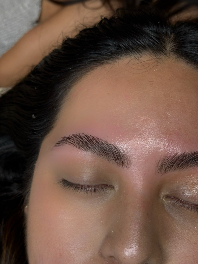 Brow Lamination + Wax