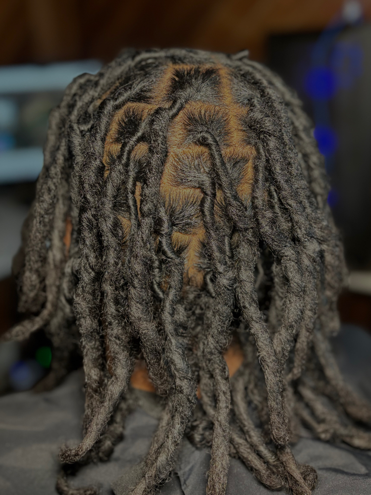 Starter Locs